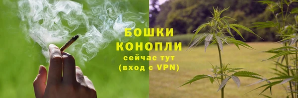 соль ск Богородицк
