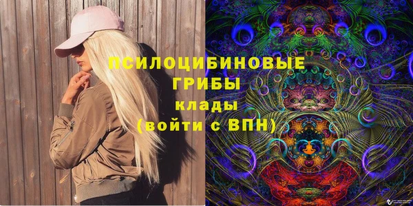 соль ск Богородицк
