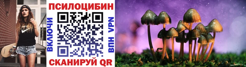 купить  цена  Михайлов  кракен   Галлюциногенные грибы GOLDEN TEACHER 